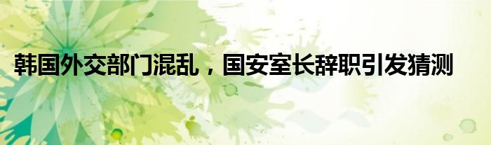 韩国外交部门混乱,国安室长辞职引发猜测