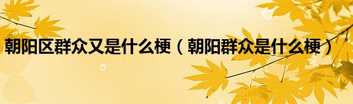 朝阳区群众又是什么梗(朝阳群众是什么梗)