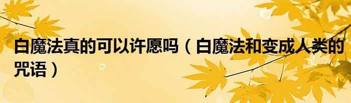 白魔法真的可以许愿吗(白魔法和变成人类的咒语)