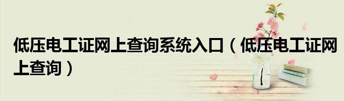低压电工证网上查询系统入口(低压电工证网上查询)