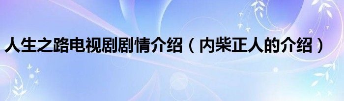 人生之路电视剧剧情介绍(内柴正人的介绍)