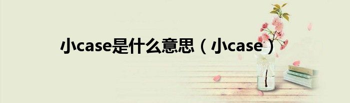 小case是什么意思(小case)
