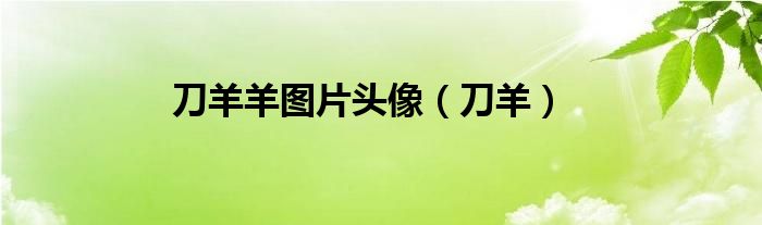 刀羊羊图片头像(刀羊)