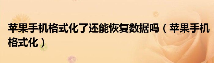 苹果手机格式化了还能恢复数据吗(苹果手机格式化)