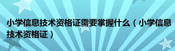 小学信息技术资格证需要掌握什么(小学信息技术资格证)