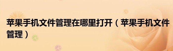 苹果手机文件管理在哪里打开(苹果手机文件管理)