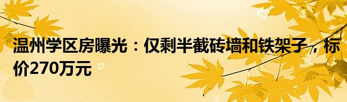 温州学区房曝光:仅剩半截砖墙和铁架子,标价270万元