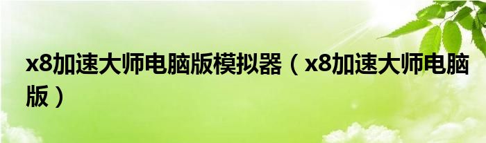 x8加速大师电脑版模拟器(x8加速大师电脑版)