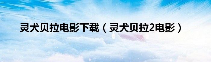 灵犬贝拉电影下载(灵犬贝拉2电影)