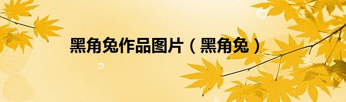黑角兔作品图片(黑角兔)