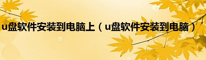 u盘软件安装到电脑上(u盘软件安装到电脑)
