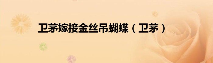卫茅嫁接金丝吊蝴蝶(卫茅)