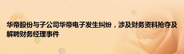 华帝股份与子公司华帝电子发生纠纷,涉及财务资料抢夺及解聘财务经理事件