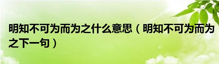 明知不可为而为之什么意思(明知不可为而为之下一句)