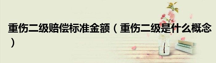 重伤二级赔偿标准金额(重伤二级是什么概念)