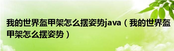 我的世界盔甲架怎么摆姿势java(我的世界盔甲架怎么摆姿势)