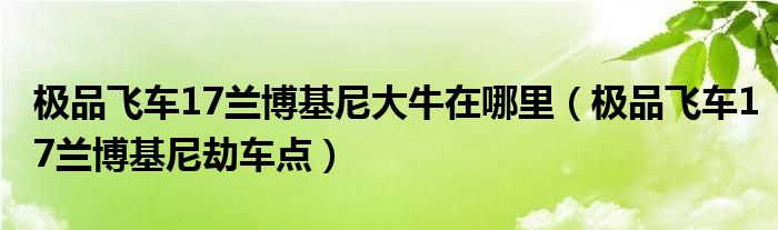 极品飞车17兰博基尼大牛在哪里(极品飞车17兰博基尼劫车点)
