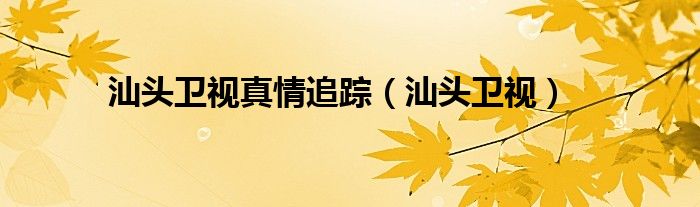 汕头卫视真情追踪(汕头卫视)