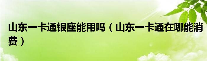 山东一卡通银座能用吗(山东一卡通在哪能消费)
