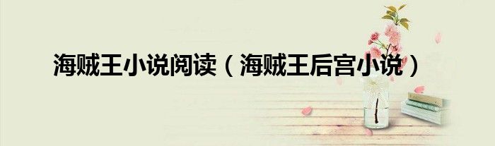 海贼王小说阅读(海贼王后宫小说)