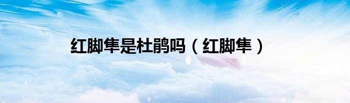 红脚隼是杜鹃吗(红脚隼)