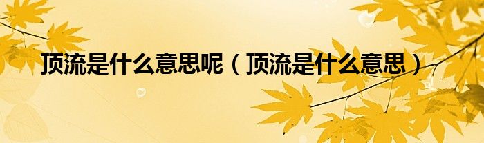 顶流是什么意思呢(顶流是什么意思)