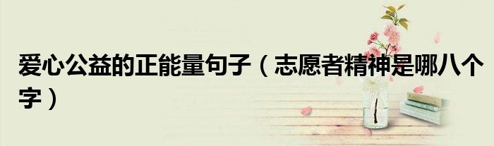 爱心公益的正能量句子(志愿者精神是哪八个字)