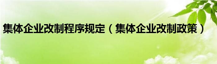 集体企业改制程序规定(集体企业改制政策)