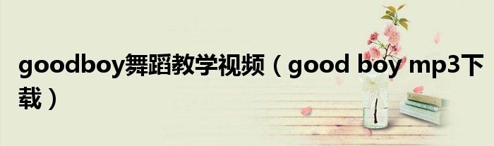 goodboy舞蹈教学视频(good boy mp3下载)