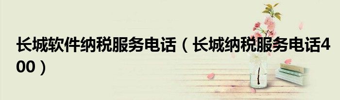 长城软件纳税服务电话(长城纳税服务电话400)