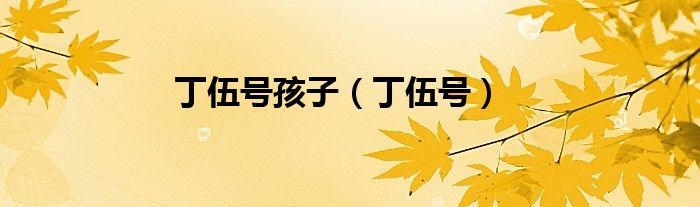 丁伍号孩子（丁伍号）