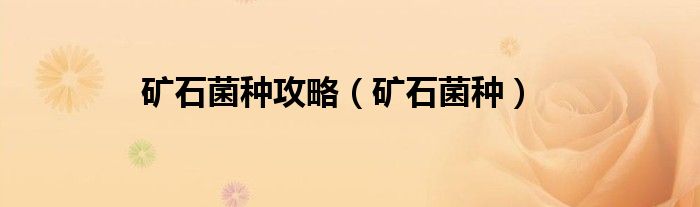 矿石菌种攻略(矿石菌种)