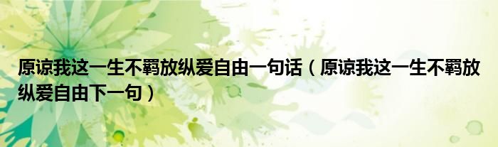 原谅我这一生不羁放纵爱自由一句话(原谅我这一生不羁放纵爱自由下一句)