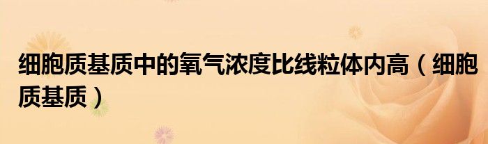 细胞质基质中的氧气浓度比线粒体内高(细胞质基质)