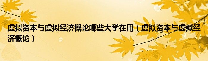 虚拟资本与虚拟经济概论哪些大学在用(虚拟资本与虚拟经济概论)