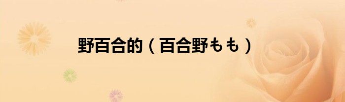 野百合的（百合野もも）