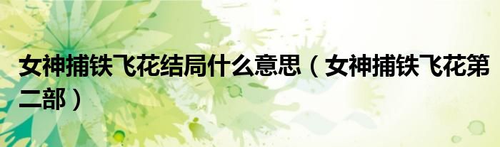 女神捕铁飞花结局什么意思(女神捕铁飞花第二部)