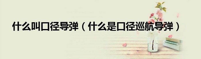 什么叫口径导弹(什么是口径巡航导弹)