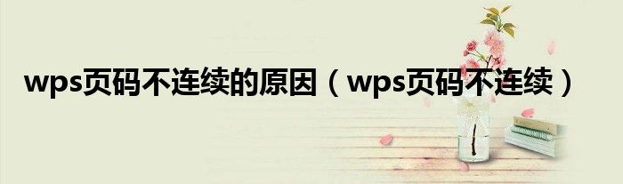wps页码不连续的原因(wps页码不连续)