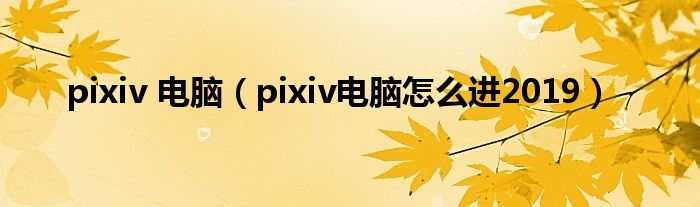 pixiv 电脑(pixiv电脑怎么进2019)