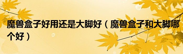 魔兽盒子好用还是大脚好(魔兽盒子和大脚哪个好)