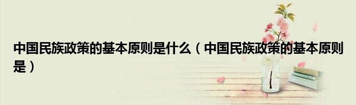 中国民族政策的基本原则是什么(中国民族政策的基本原则是)