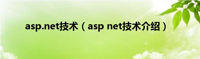 asp.net技术(asp net技术介绍)