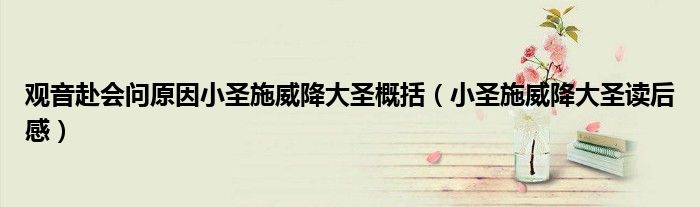 观音赴会问原因小圣施威降大圣概括(小圣施威降大圣读后感)
