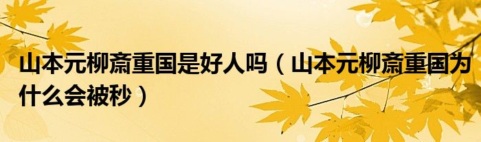 山本元柳斎重国是好人吗(山本元柳斎重国为什么会被秒)