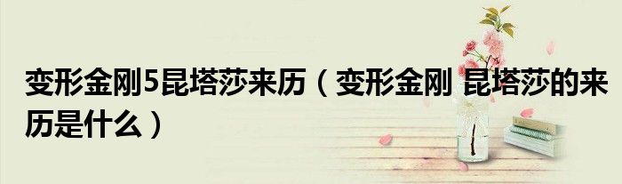 变形金刚5昆塔莎来历(变形金刚 昆塔莎的来历是什么)