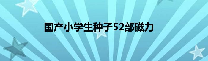 国产小学生种子52部磁力