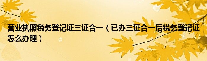 营业执照税务登记证三证合一(已办三证合一后税务登记证怎么办理)