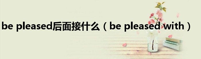 be pleased后面接什么(be pleased with)