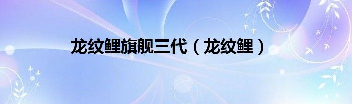 龙纹鲤旗舰三代（龙纹鲤）